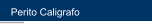  Perito Caligrafo 